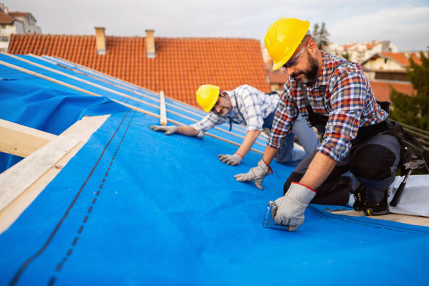 Best Roof Ventilation Installation  in Braddock Hills, PA